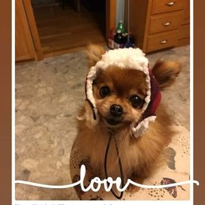 Meet your Posher, Laura